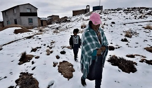 Gobierno declara en emergencia 5 provincias de Arequipa por bajas temperaturas