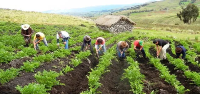 Vizcarra: Este año habrá aumento de presupuesto para promover agricultura familiar y rural