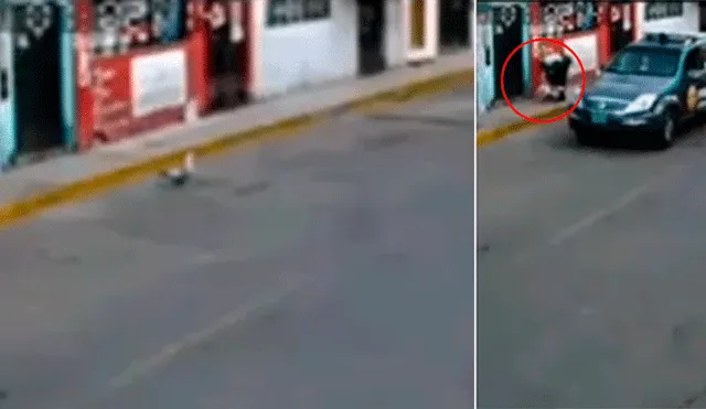 Facebook viral: graban a policía peruano ‘deteniendo’ a un pato callejero y video desconcierta a miles [VIDEO]