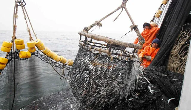 Produce suspende temporalmente la pesca de merluza