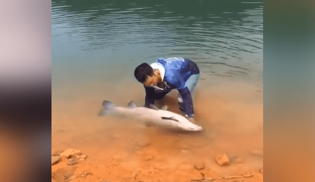 Hombre atrapa a gigantesco pez.
