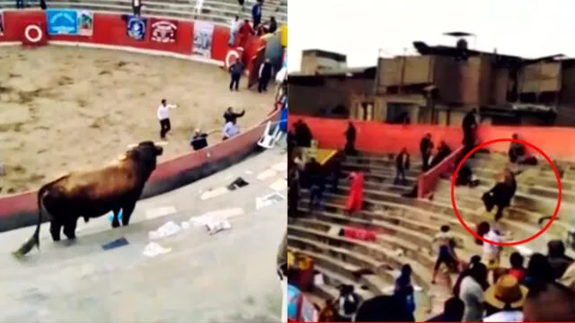 Asistentes a corridas afirman que esta no es la primera vez que un toro se sube a las tribunas. (Foto: Captura de video / Latina Noticias)