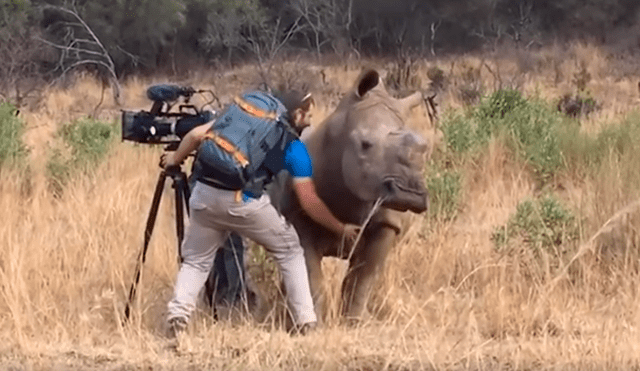 Desliza las imágenes hacia la izquierda para apreciar la sentimental escena protagonizada por un rinoceronte.