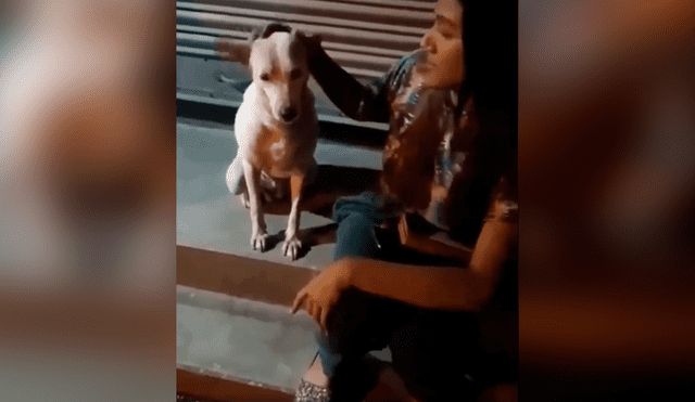 Desliza las imágenes para apreciar el amoroso comportamiento de un perro tras recibir unas caricias.