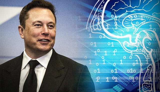 Elon Musk  anunciará novedades sobre Neuralink en agosto. Foto: composición GLR / Saul Martinez - AFP y Pixabay.