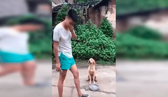 En Facebook, un perro sostenía su plato de comida para pedir comida a las personas en la calle y recibió conmovedora ayuda.