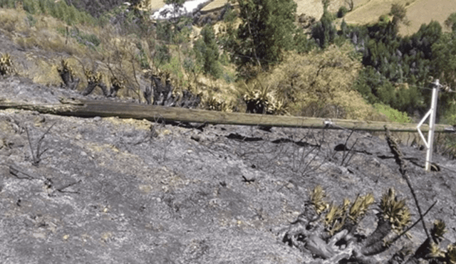 Áncash: incendio forestal deja sin luz a seis localidades