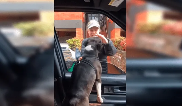 En Facebook, un perro llamó la atención de sus cuidadores por sus singulares movimientos al demostrar su emoción.