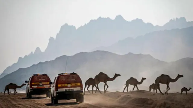 El rally Dakar 2020 constará de 12 etapas y casi 8 000 kilómetros. Foto: Eric Varglolu / DPPI