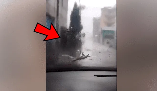 Facebook viral: misteriosa ‘criatura’ aparece mientras hombre conduce vehículo y por poco ocasiona accidente