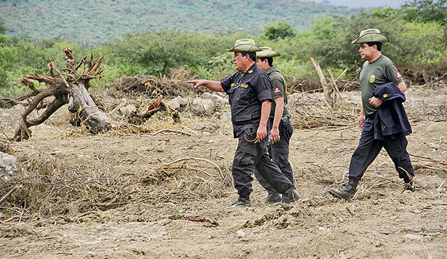 Siete mil hectáreas de bosques secos pierde Lambayeque por tala ilegal