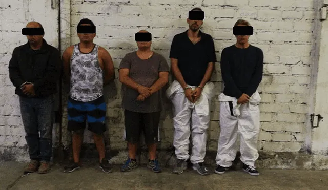 Dos peruanos en red internacional que quiso llevar 290 kilos de droga a Europa