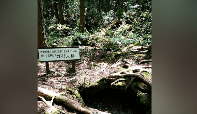 Google Maps: conoce todo sobre Aokigahara, el ‘bosque de los suicidios’ ubicado en Japón