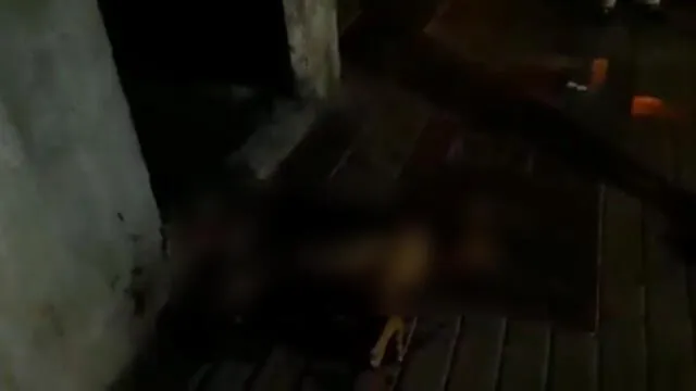Mujer acuchilló a un perro por miccionar en su local [VIDEO]