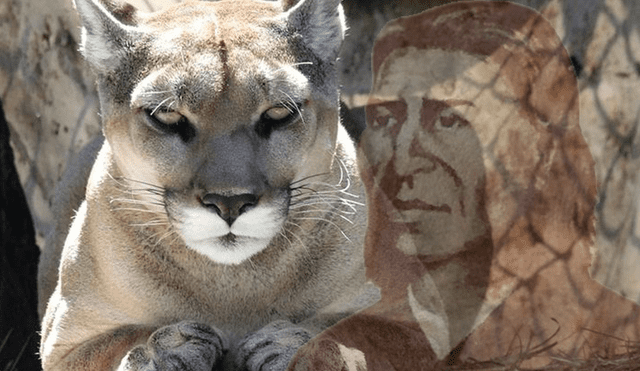 Se cumplen 237 años desde la partida del "Puma indomable" de los Andes