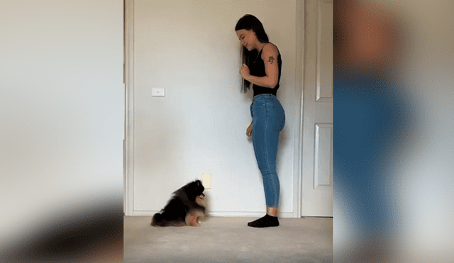 Desliza las imágenes hacia la izquierda para apreciar la divertida coreografía que realizó un perro con su dueña.