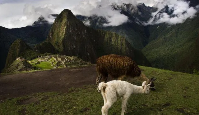 ¿Qué dijo CN Traveller sobre Machu Picchu? Foto: Pexels