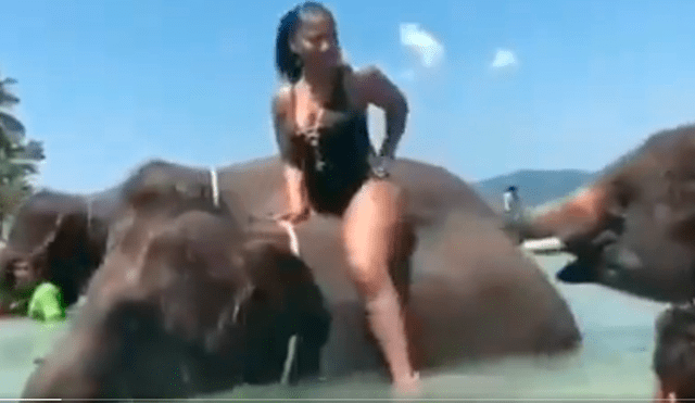Facebook viral: juguetón elefante coge a 'trompazos' a señorita en safari y ocurre lo peor [VIDEO] 