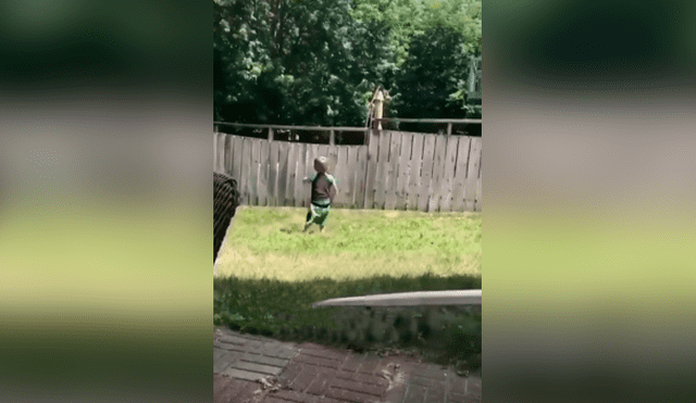 Desliza las imágenes hacia la izquierda para apreciar el amoroso momento que protagonizó un niño junto a un perro.