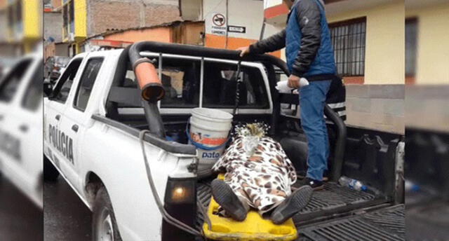 Susalud se pronuncia por muerte de madre en cabina de radio de Cusco