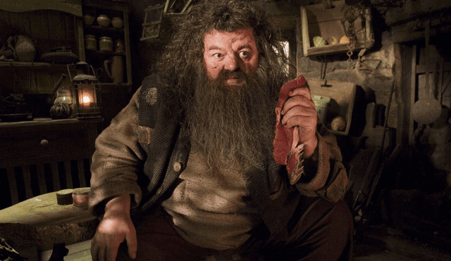 ‘Hagrid’ de Harry Potter no volverá a caminar tras perder batalla contra la osteoartritis 