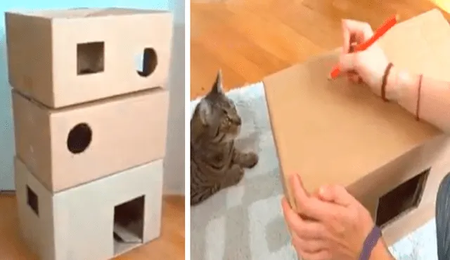En Facebook, un joven utilizó cartón para fabricar una casa especial para su adorado gato y obtuvo un buen resultado.