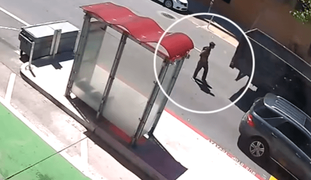 Falleció el skater más intrépido del mundo tras ser atropellado por un camión de basura [VIDEO]