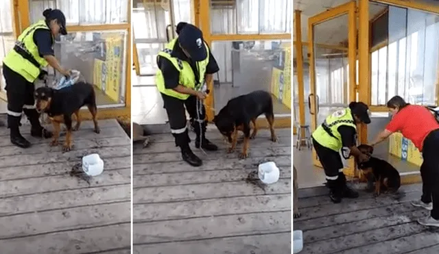 Facebook viral: sereno peruana echa agua a perro sofocado por calor extremo [VIDEO]