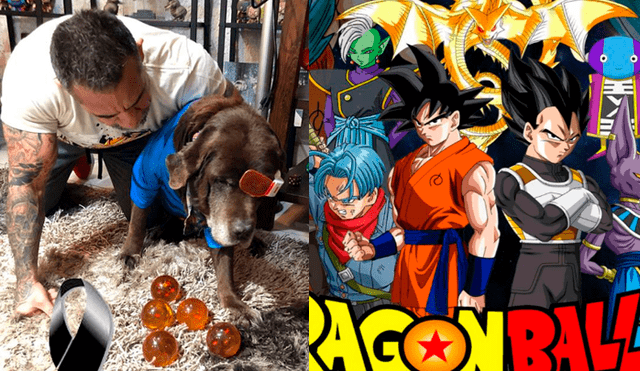 Facebook viral: fan de Dragon Ball Super se despide de su mascota con emotivo mensaje