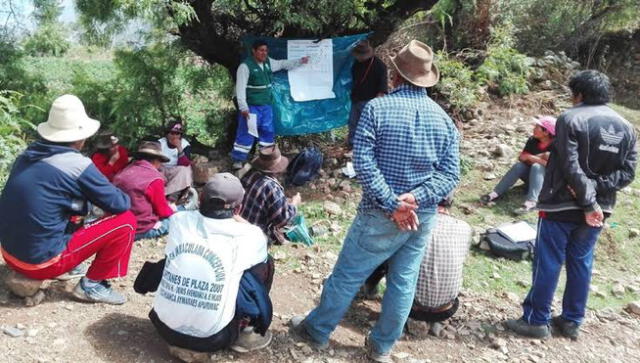 Con escuelas de campo buscan mejorar producción de quinua y haba en Puno.