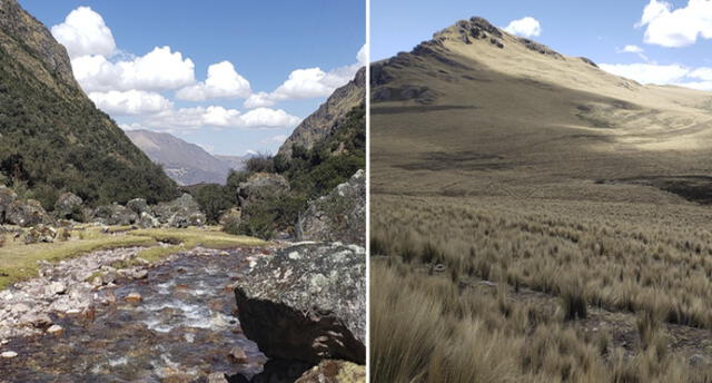 Cusco cuenta con dos nuevas Áreas de Conservación Privada. Fotos: Conservación Amazónica - ACCA