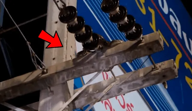 YouTube viral: rescatistas salvan a enorme pitón que permanecía enrollada en cables de alta tensión [VIDEO]