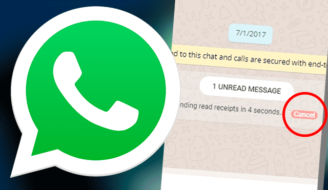 Con este truco podrás seguir conectado en WhatsApp sin mostrar el estado de 'en línea' ni mostrar los 'check' azules, todo sin desactivar ambas opciones de la aplicación. Imagen: WhatsApp/Google Play Store.