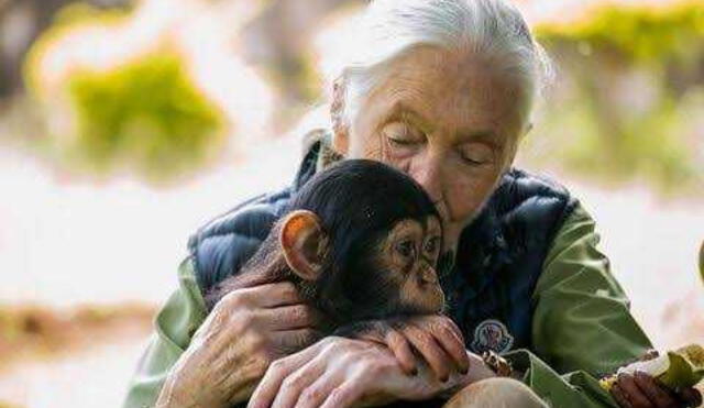 Jane Goodall de 86 años destacó que era "hora de aprender de nuestros errores y evitar nuevas catástrofes". Foto: Time