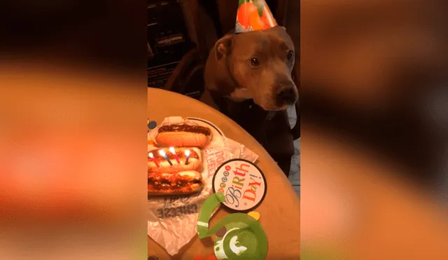 Desliza las imágenes para conocer la sorpresa de cumpleaños que preparó una pareja para su perro. Foto: Captura.