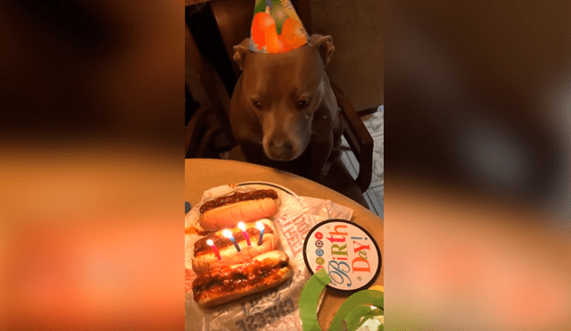 Desliza las imágenes para conocer la sorpresa de cumpleaños que preparó una pareja para su perro. Foto: Captura.