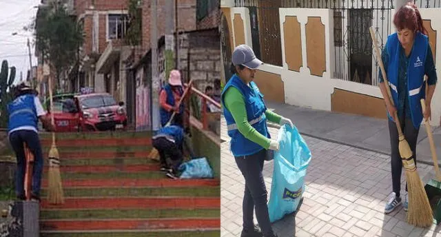 Se recolectó botellas de plástico, cajas de cartón, bolsas de plástico, entre otros.