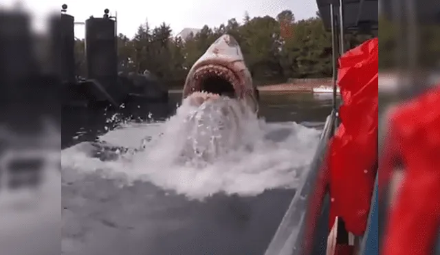 Facebook viral: Enorme 'tiburón' surge del mar y aterra a grupo de turistas [VIDEO]