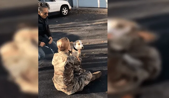 El can no reconocía a su dueña al verla después de tiempo, pero su conducta cambió cuando tuvo contacto con ella. El emotivo reencuentro se hizo viral en YouTube.