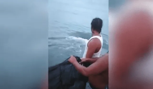 Video es viral en TikTok. La tortuga apareció varada en la orilla de una playa y un grupo de pescadores reunió a varias personas para que les ayuden a rescatarla. Fotocaptura: YouTube