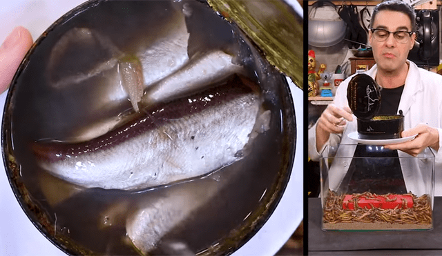YouTube: Lanzan comida en lata dentro de envase con supergusanos carnívoros y sucede algo inesperado [VIDEO]