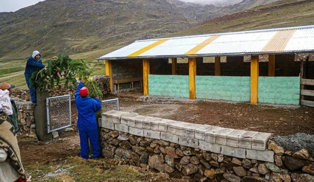 La meta del Gobierno es construir 550 cobertizos más para Arequipa. Foto: Ministerio de Desarrollo Agrario y Riego.