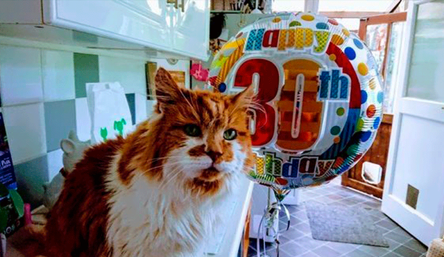 Rubble, el gato más longevo del mundo