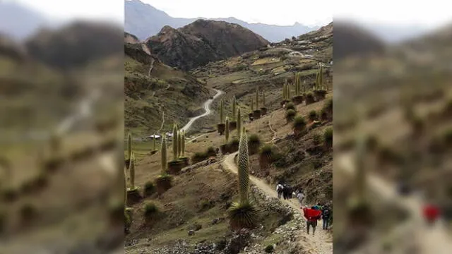 La Libertad: asesinan a profesor cuando se dirigía a dictar clases