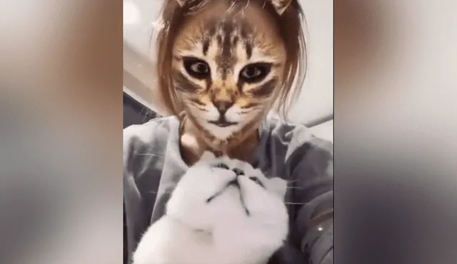 Desliza hacia la izquierda para ver la reacción que tuvo el felino al ver el filtro del gato que se ha vuelto viral en Facebook.