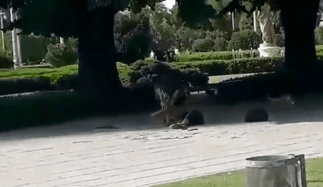 El brutal momento en que hombre apuñala a otro en una plaza frente a varios peatones [VIDEO]