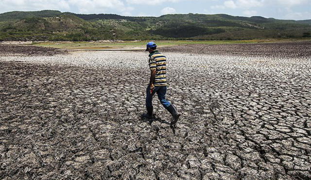 Midagri transfiere más de S/ 341 millones para pago de bono por sequía a agricultores y ganaderos