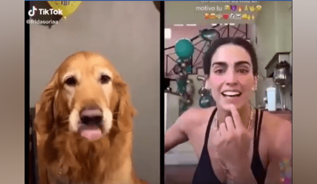 Desliza las imágenes para ver la graciosa escena que protagonizó un perro en TikTok.