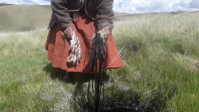 Cusco. Comuneros observan los graves daños provocados a sus pastizales.