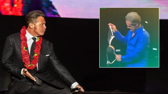 Luis Miguel: fanática interrumpe su concierto tras lanzarle un brasier 